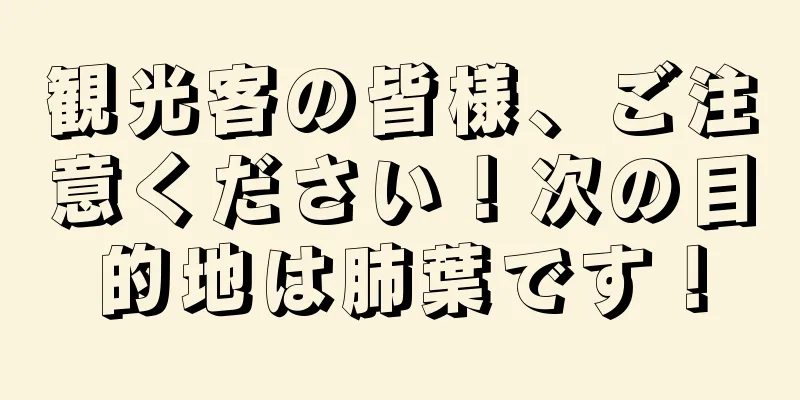 観光客の皆様、ご注意ください！次の目的地は肺葉です！