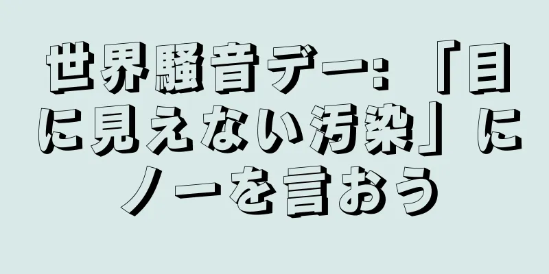 世界騒音デー: 「目に見えない汚染」にノーを言おう