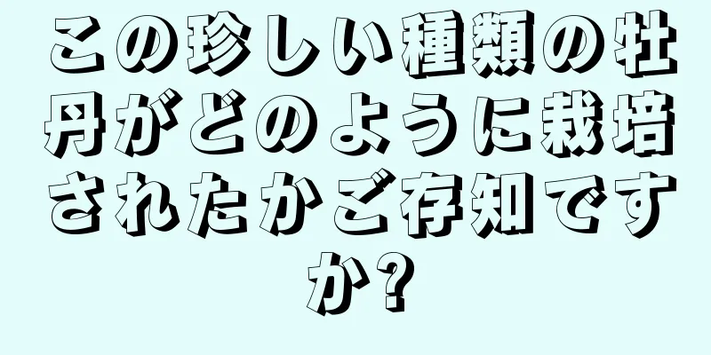 この珍しい種類の牡丹がどのように栽培されたかご存知ですか?