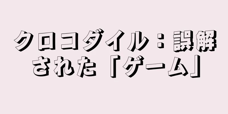 クロコダイル：誤解された「ゲーム」