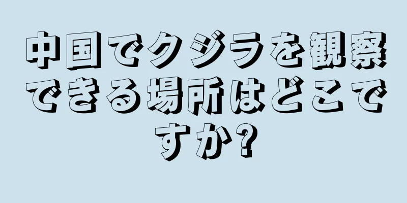 中国でクジラを観察できる場所はどこですか?