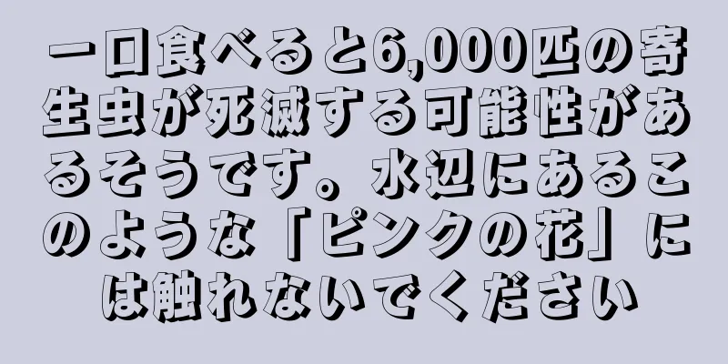 一口食べると6,000匹の寄生虫が死滅する可能性があるそうです。水辺にあるこのような「ピンクの花」には触れないでください