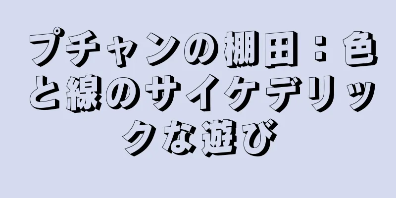 プチャンの棚田：色と線のサイケデリックな遊び