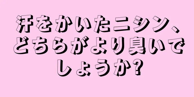 汗をかいたニシン、どちらがより臭いでしょうか?