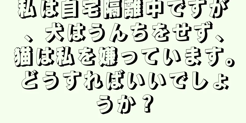 私は自宅隔離中ですが、犬はうんちをせず、猫は私を嫌っています。どうすればいいでしょうか？