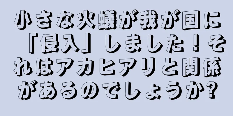 小さな火蟻が我が国に「侵入」しました！それはアカヒアリと関係があるのでしょうか?