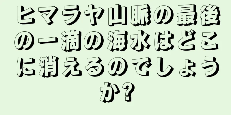 ヒマラヤ山脈の最後の一滴の海水はどこに消えるのでしょうか?