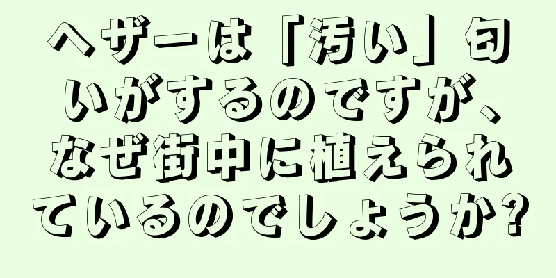 ヘザーは「汚い」匂いがするのですが、なぜ街中に植えられているのでしょうか?