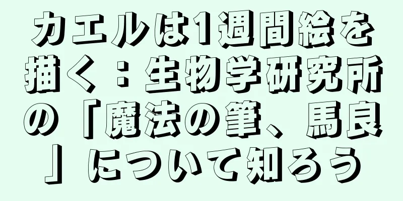 カエルは1週間絵を描く：生物学研究所の「魔法の筆、馬良」について知ろう