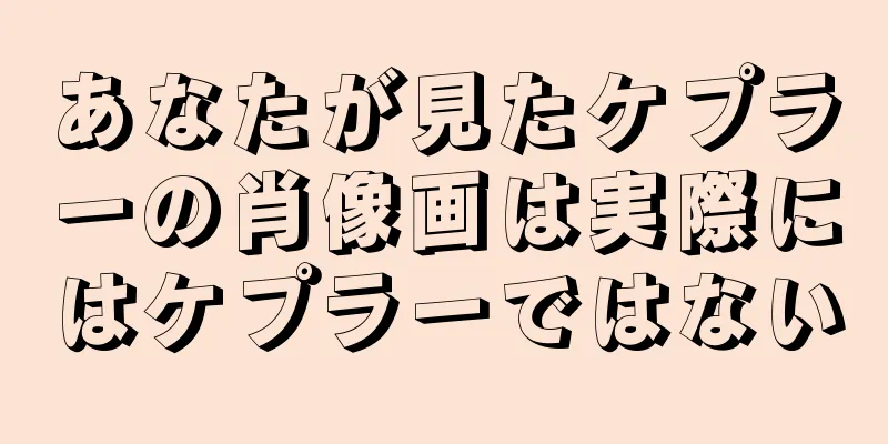 あなたが見たケプラーの肖像画は実際にはケプラーではない