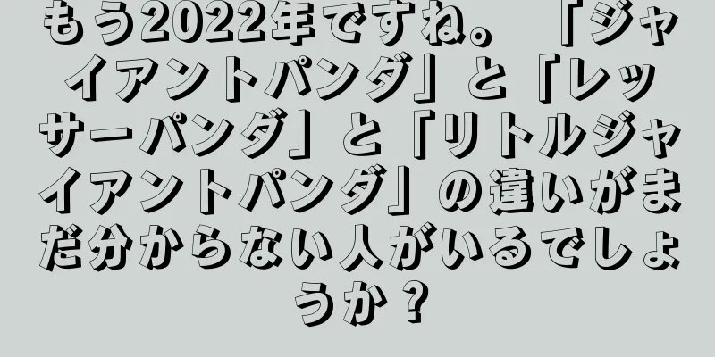 もう2022年ですね。 「ジャイアントパンダ」と「レッサーパンダ」と「リトルジャイアントパンダ」の違いがまだ分からない人がいるでしょうか？