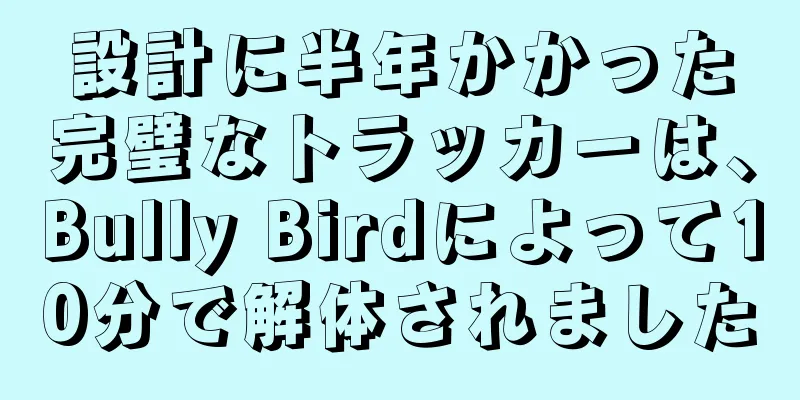 設計に半年かかった完璧なトラッカーは、Bully Birdによって10分で解体されました