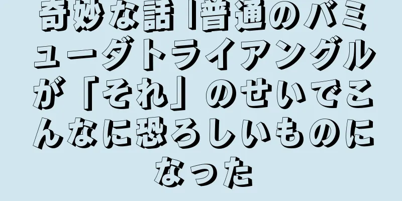 奇妙な話 |普通のバミューダトライアングルが「それ」のせいでこんなに恐ろしいものになった