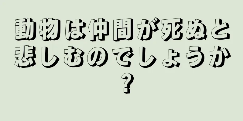 動物は仲間が死ぬと悲しむのでしょうか？
