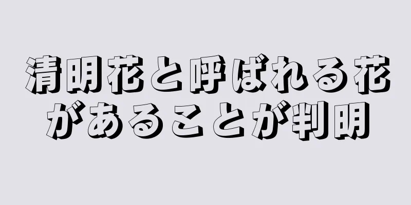 清明花と呼ばれる花があることが判明