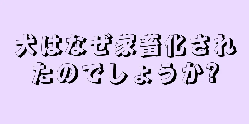 犬はなぜ家畜化されたのでしょうか?