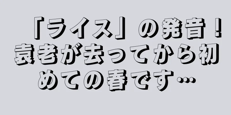 「ライス」の発音！袁老が去ってから初めての春です…