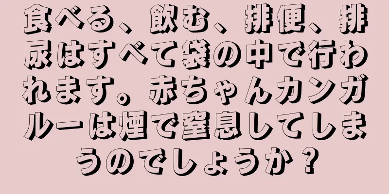 食べる、飲む、排便、排尿はすべて袋の中で行われます。赤ちゃんカンガルーは煙で窒息してしまうのでしょうか？