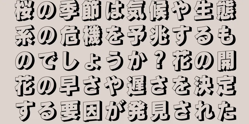 桜の季節は気候や生態系の危機を予兆するものでしょうか？花の開花の早さや遅さを決定する要因が発見された