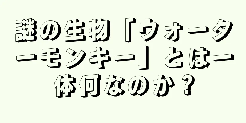 謎の生物「ウォーターモンキー」とは一体何なのか？