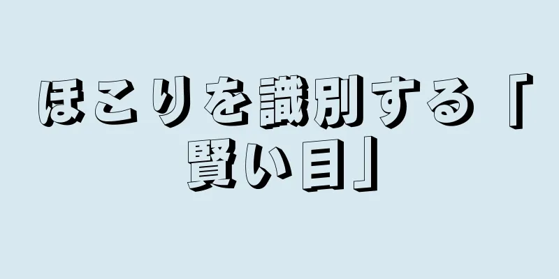 ほこりを識別する「賢い目」