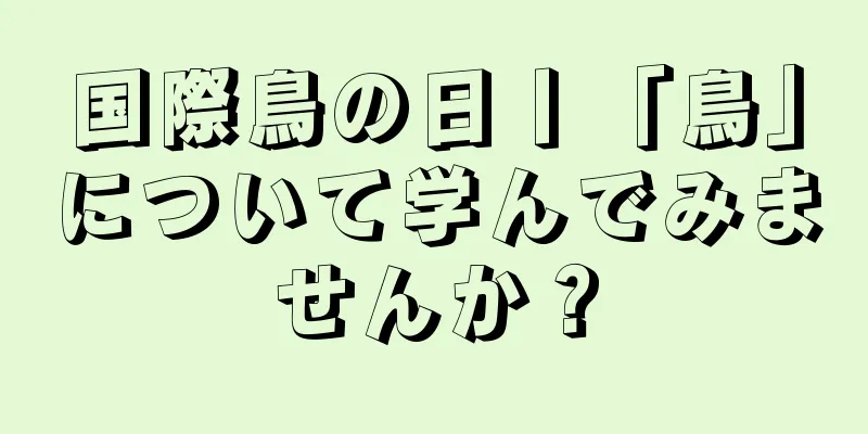 国際鳥の日丨「鳥」について学んでみませんか？