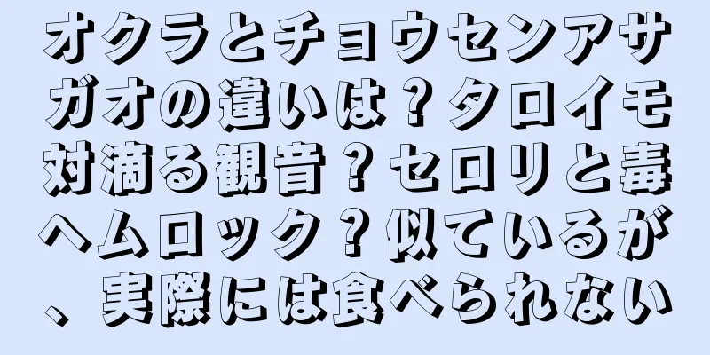 オクラとチョウセンアサガオの違いは？タロイモ対滴る観音？セロリと毒ヘムロック？似ているが、実際には食べられない