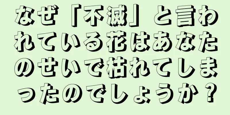 なぜ「不滅」と言われている花はあなたのせいで枯れてしまったのでしょうか？