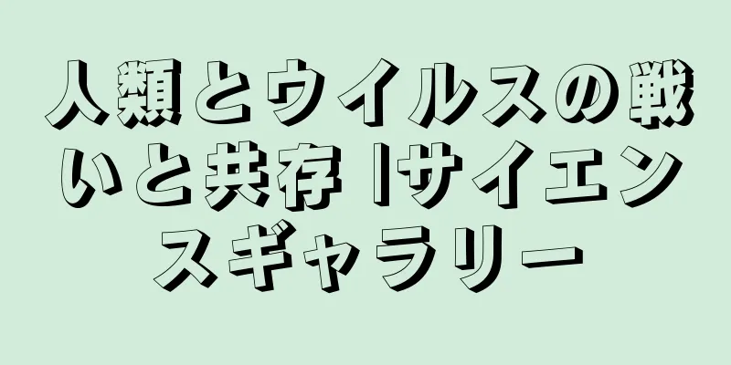 人類とウイルスの戦いと共存 |サイエンスギャラリー