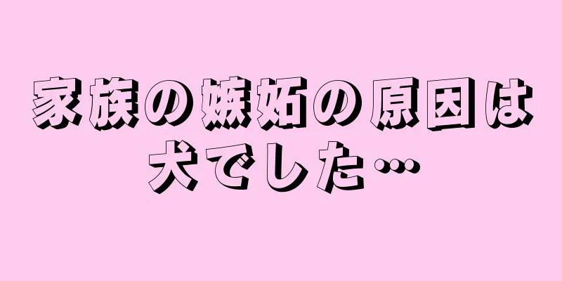 家族の嫉妬の原因は犬でした…