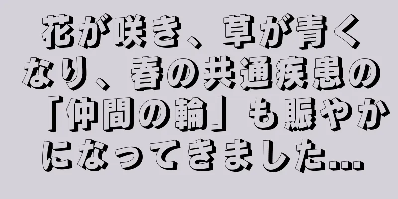花が咲き、草が青くなり、春の共通疾患の「仲間の輪」も賑やかになってきました...