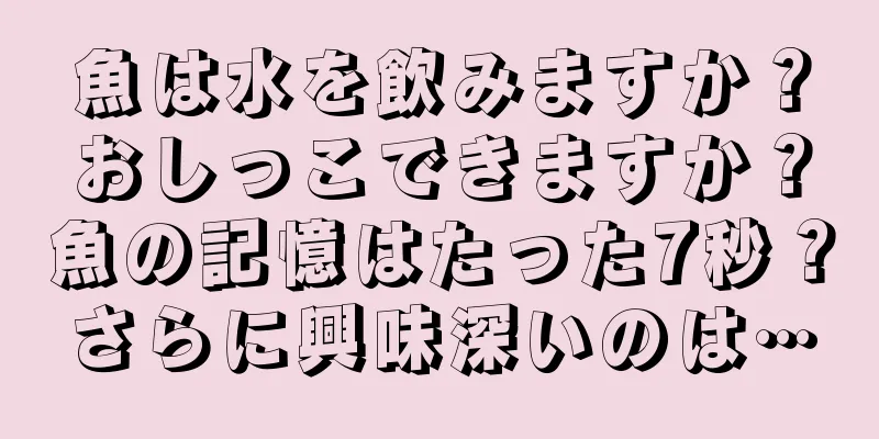 魚は水を飲みますか？おしっこできますか？魚の記憶はたった7秒？さらに興味深いのは…