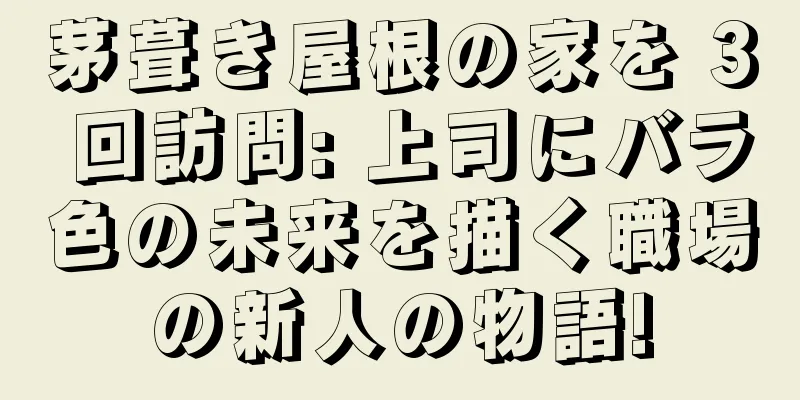 茅葺き屋根の家を 3 回訪問: 上司にバラ色の未来を描く職場の新人の物語!