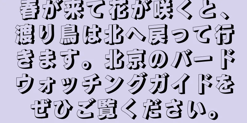 春が来て花が咲くと、渡り鳥は北へ戻って行きます。北京のバードウォッチングガイドをぜひご覧ください。