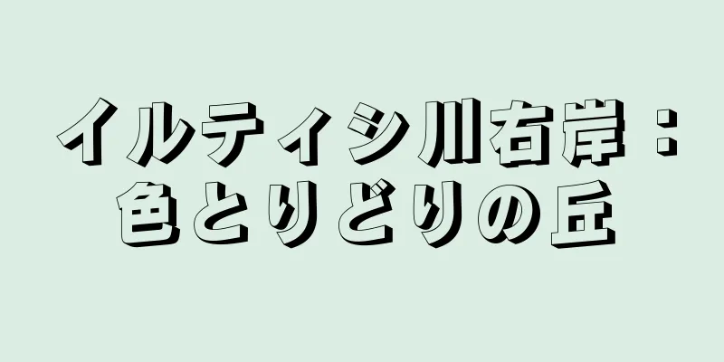 イルティシ川右岸：色とりどりの丘