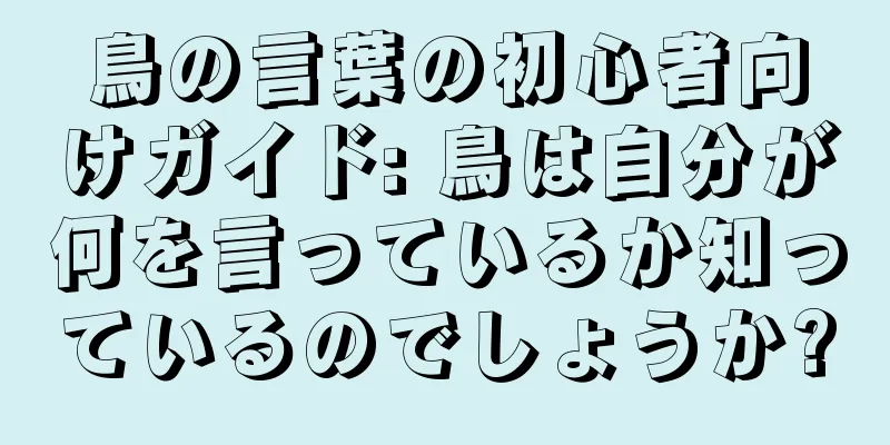 鳥の言葉の初心者向けガイド: 鳥は自分が何を言っているか知っているのでしょうか?