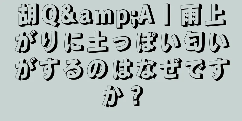 胡Q&A丨雨上がりに土っぽい匂いがするのはなぜですか？