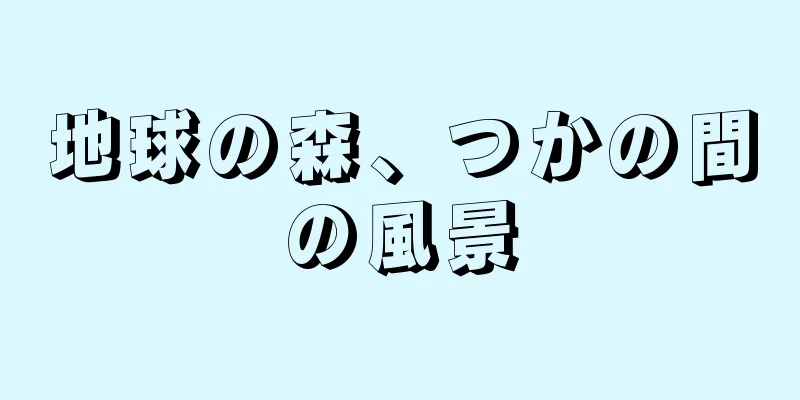地球の森、つかの間の風景