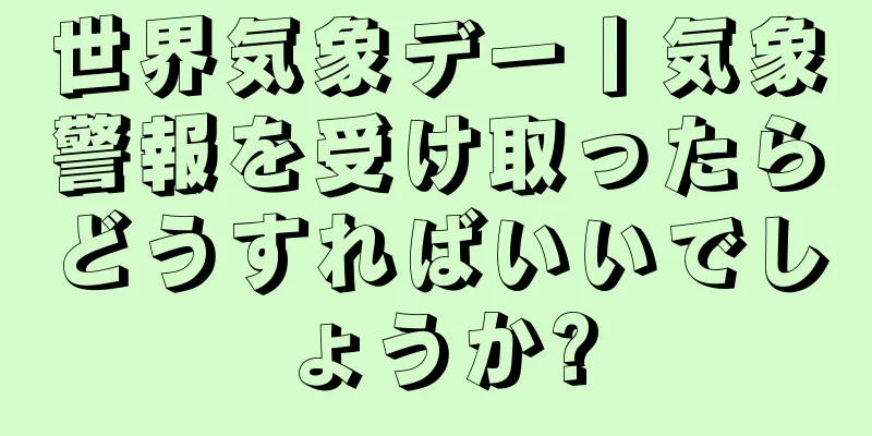 世界気象デー丨気象警報を受け取ったらどうすればいいでしょうか?
