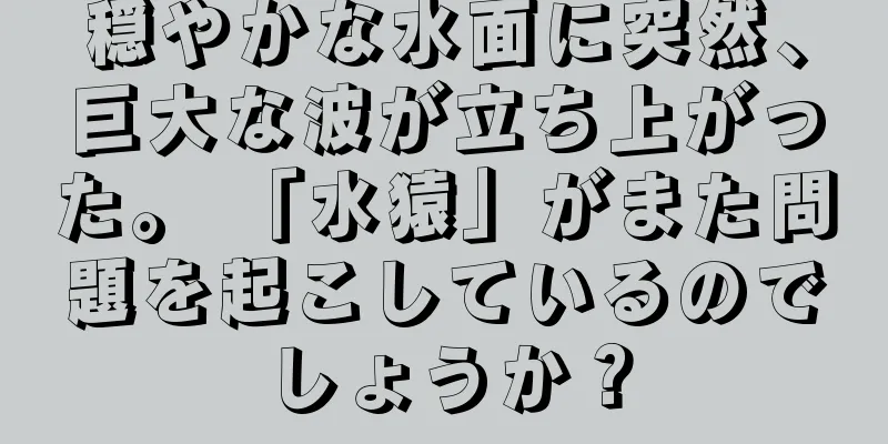 穏やかな水面に突然、巨大な波が立ち上がった。 「水猿」がまた問題を起こしているのでしょうか？