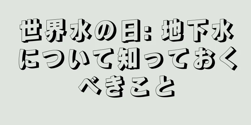 世界水の日: 地下水について知っておくべきこと