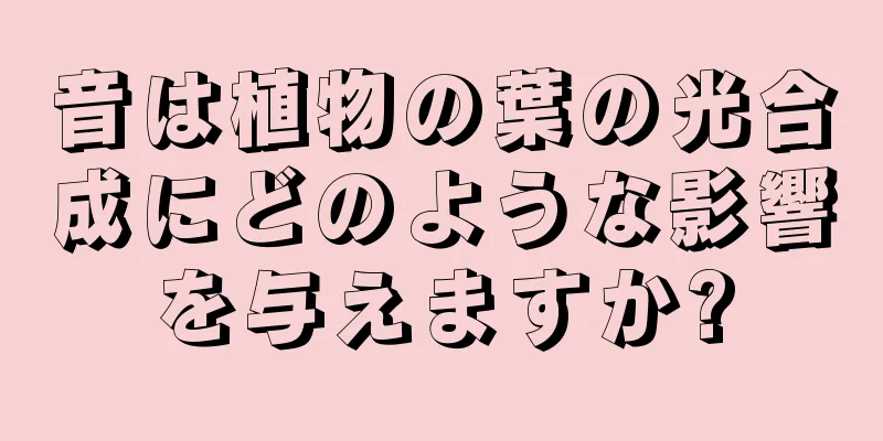 音は植物の葉の光合成にどのような影響を与えますか?