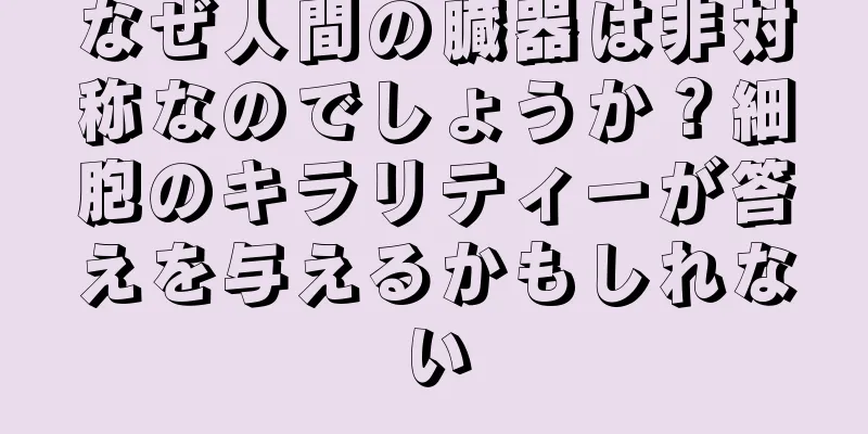 なぜ人間の臓器は非対称なのでしょうか？細胞のキラリティーが答えを与えるかもしれない