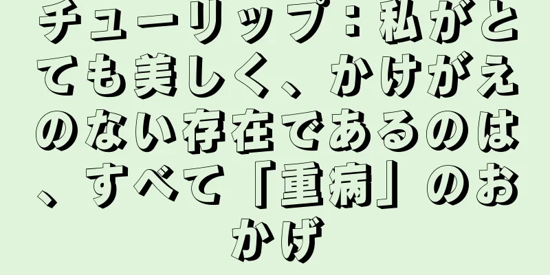 チューリップ：私がとても美しく、かけがえのない存在であるのは、すべて「重病」のおかげ