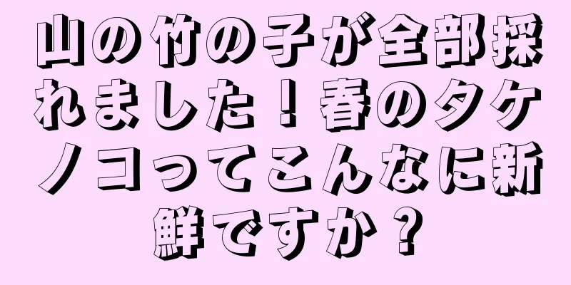 山の竹の子が全部採れました！春のタケノコってこんなに新鮮ですか？