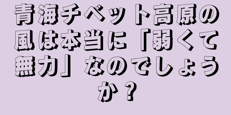 青海チベット高原の風は本当に「弱くて無力」なのでしょうか？