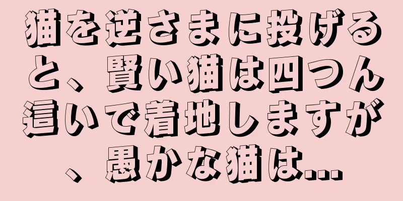 猫を逆さまに投げると、賢い猫は四つん這いで着地しますが、愚かな猫は...