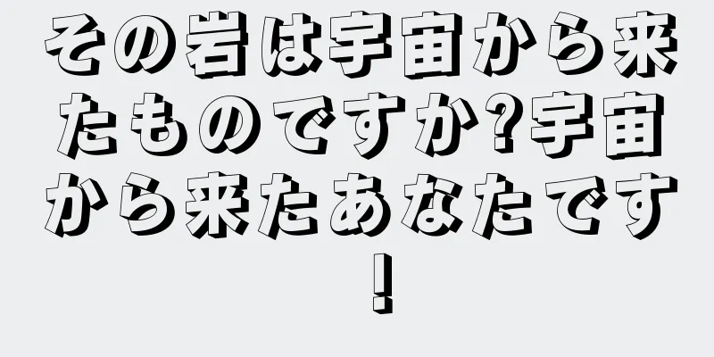 その岩は宇宙から来たものですか?宇宙から来たあなたです！