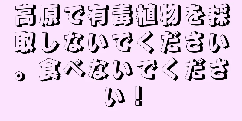 高原で有毒植物を採取しないでください。食べないでください！