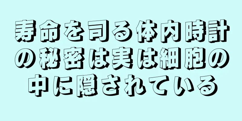 寿命を司る体内時計の秘密は実は細胞の中に隠されている